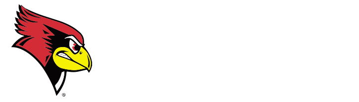 Allie Matters Volleyball Camps